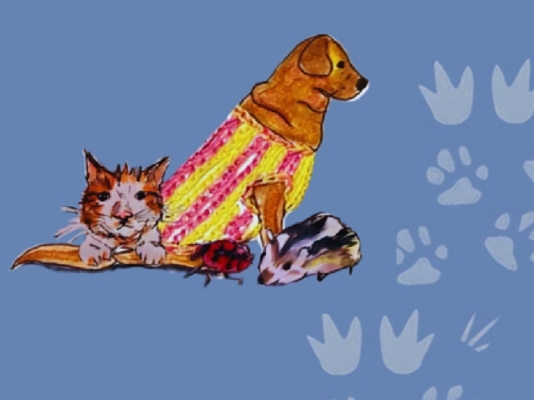Animalia Fest