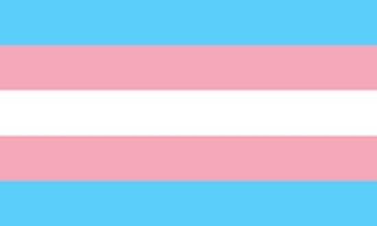 bandera